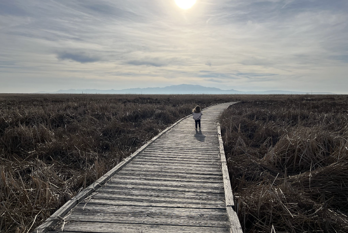Authenticity Over Creativity